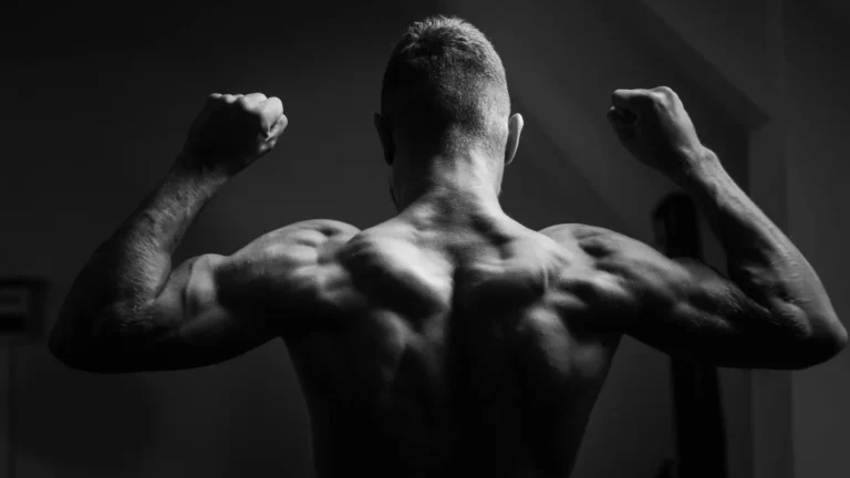 Shoulder Back Workout