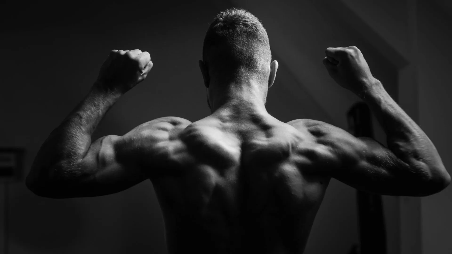 Shoulder Back Workout