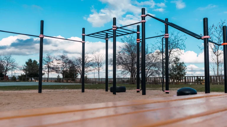 Barre Calisthenics