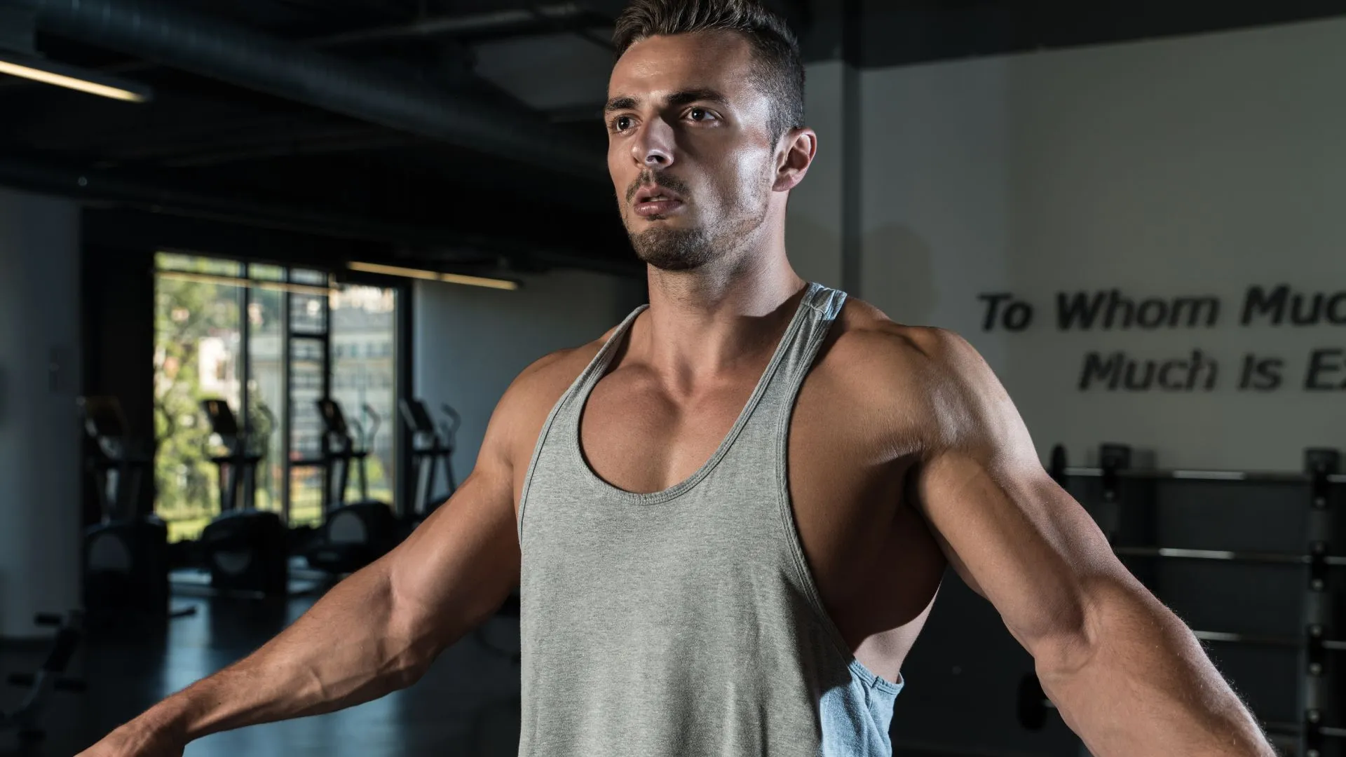 big shoulder workout