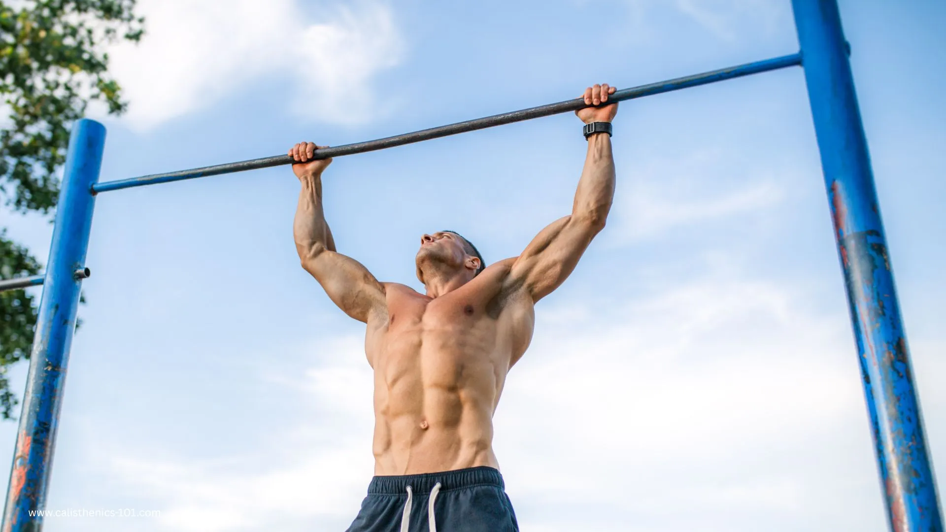 scapula pull ups
